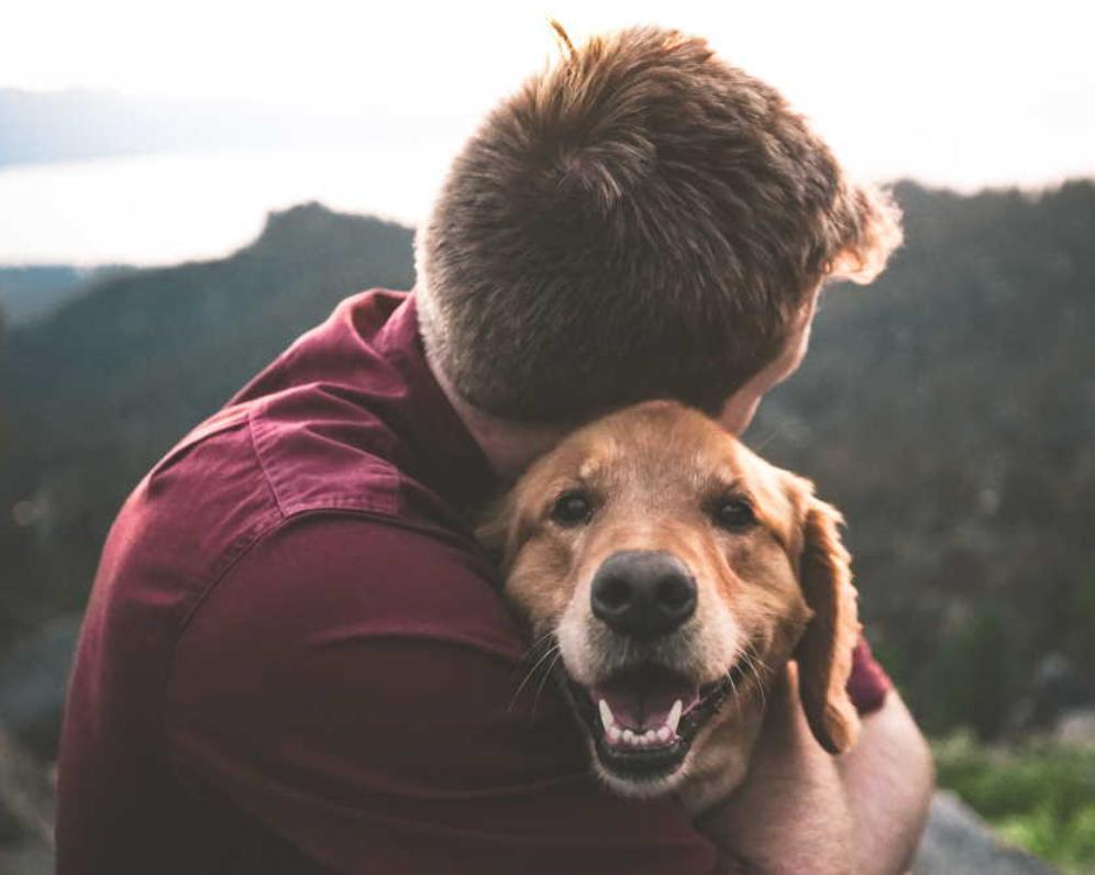 Veterinární péče bez finančního stresu: Má smysl pojistit psa nebo kočku?